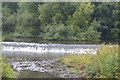 Weir, River Don