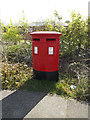 Maitland Road Postbox