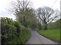 SP0227 : Corndean Lane, a passing place by David Smith