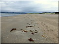 G8973 : Murvagh beach by Kenneth  Allen