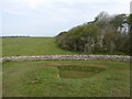 SP0225 : Looking north from the top of Belas Knap by David Smith