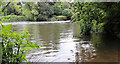 River Wey Weir near Mill Lane Byfleet