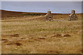 Ruined croft house at Sellafirth