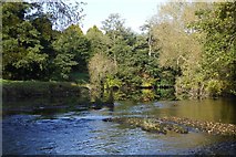 SO5269 : River Teme, Barrett's Mill by Richard Webb