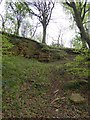 Former quarry in Coscombe Grove