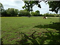 Farm next to Fairoaks Airport