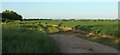 SX9992 : Field by Marlborough Farm by Derek Harper