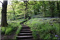 Steps leading to Northcliffe Park, Shipley