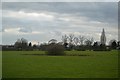 Pond in a field