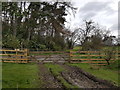 Bridleway meets Blackhill Farm track