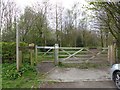 Tarvin Community Woodland