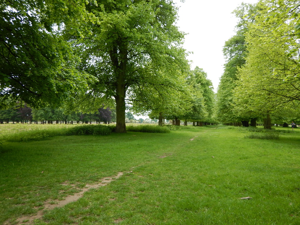 Bushy Park - Trees Lining Chestnut... © James Emmans cc-by-sa/2.0 ...