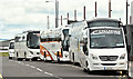 Tourist coaches, Titanic Quarter, Belfast (May 2016)