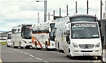 J3575 : Tourist coaches, Titanic Quarter, Belfast (May 2016) by Albert Bridge