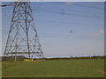 SO8497 : Wolverhampton Skyline by Gordon Griffiths