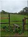 Stile and footpath south from Hoe