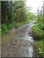 Stream crossing track at Lower Chuggaton