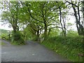 Track to Ford Mill and Hawkridge Barton