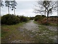 The Serpent Trail on access land at Lavington Common