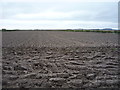 Ploughed field, Nethershot