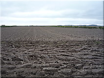 NT7235 : Ploughed field, Nethershot by JThomas