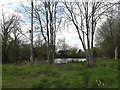 TM3887 : Pond off Tooks Common Lane by Geographer
