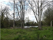 TM3887 : Pond off Tooks Common Lane by Geographer