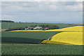 Looking north towards Kirby Hall Farm