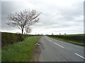 B6461 towards Swinton 