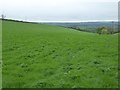 Footpath to Hoe and view of the Taw valley