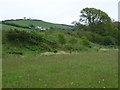 The edge of the flood plain of the River Taw at Hoe