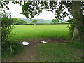 On the Sussex Border Path near Ditchling