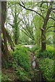 TL6600 : Pond & Stream Near Margaretting Hall by Glyn Baker