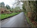 The Serpent Trail in Fitzlea Wood