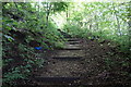 Path leading to Bolton Road