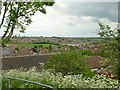 View across Carlton Valley