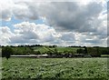 Approaching Oak Tree Farm at Westwood