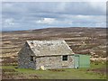 NY9350 : Shooting hut at Blackburn Head by Oliver Dixon