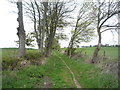 Track near Mill Cottage