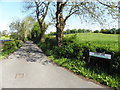 Striff Lane, Merchantstown