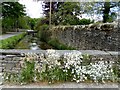 Tems Beck in Giggleswick