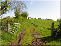 H5474 : An open field, Drumnakilly by Kenneth  Allen