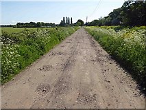SE6908 : A rough surface to bike on Stainforth Moor Road by Steve  Fareham