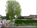 Looking over the hedge from Churchill Way to Oakwood Road