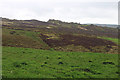 Ramshaw Rocks from Blue Hills path