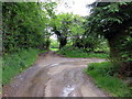 Llwybr Cwm Llynfe Isaf Path