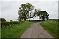 Holme Lane towards Halam