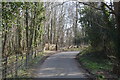 Garlinge Green Rd through Walk Wood