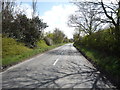 Looking south on Ingham Road