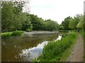 Winding hole on the Macclesfield Canal